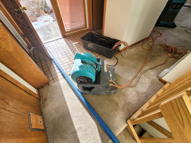 Trusted Bell Acres, PA Water damage restoration Experts
