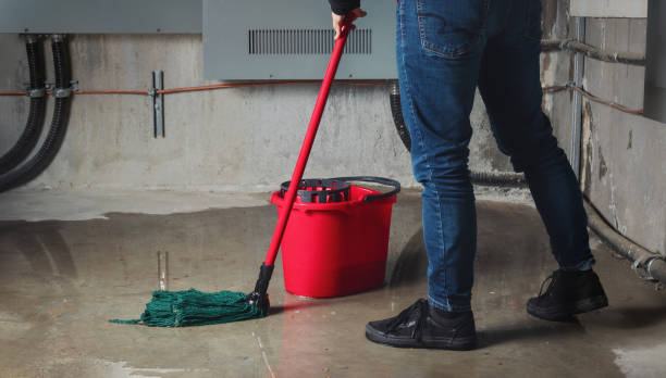 Best Residential water damage restoration  in Bell Acres, PA