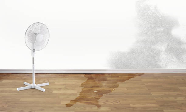 Best Local water damage restoration  in Bell Acres, PA