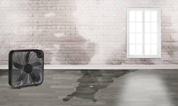 Best Water damage cleanup near me  in Bell Acres, PA