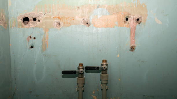 Best Basement water damage restoration  in Bell Acres, PA