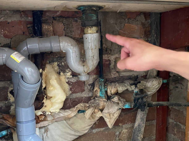 Best Sewage cleanup and water damage restoration  in Bell Acres, PA