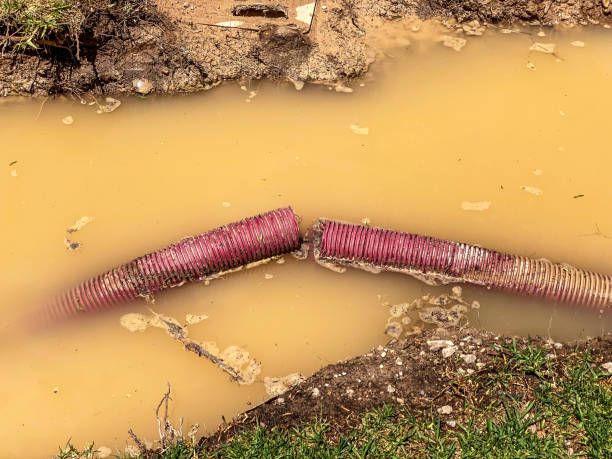 Best Flood damage cleanup  in Bell Acres, PA